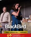 Blackbird obra ganadora