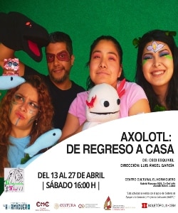 Axolotl: De regreso a casa. Noticias en tiempo real
